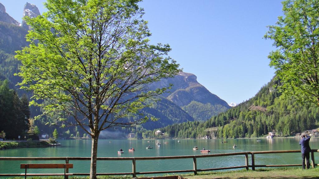 Hotel La Montanina Alleghe Esterno foto